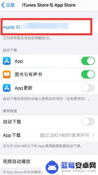 苹果手机怎么设置苹果支付 苹果手机App store默认付款方式如何调整