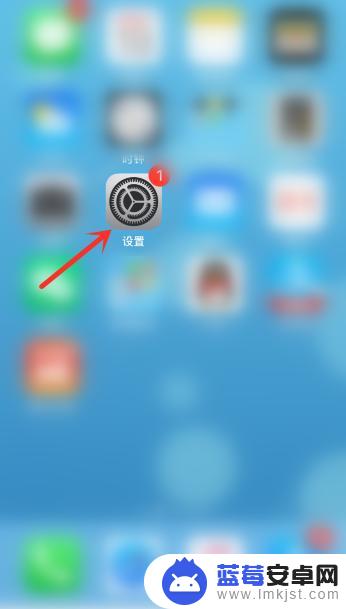 苹果手机怎么设置苹果支付 苹果手机App store默认付款方式如何调整