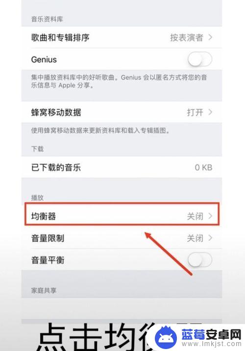 iphone 12声音小怎么放大 iPhone手机声音调整方法