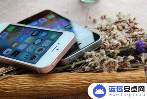 iphone8手机进水了怎么处理 iPhone8掉进水里怎么救