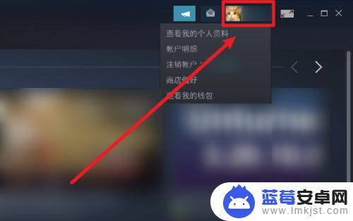 steam怎么不让别人csgo库存 Steam怎样设置不公开的游戏库存