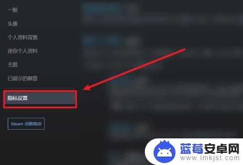 steam怎么不让别人csgo库存 Steam怎样设置不公开的游戏库存