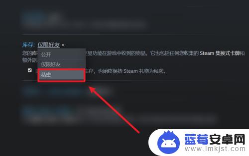 steam怎么不让别人csgo库存 Steam怎样设置不公开的游戏库存