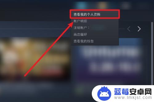 steam怎么不让别人csgo库存 Steam怎样设置不公开的游戏库存