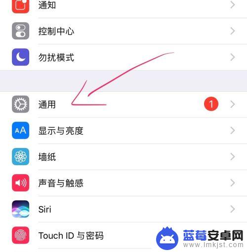 苹果怎么打开来电闪光灯 苹果iPhone手机来电闪光灯如何开启