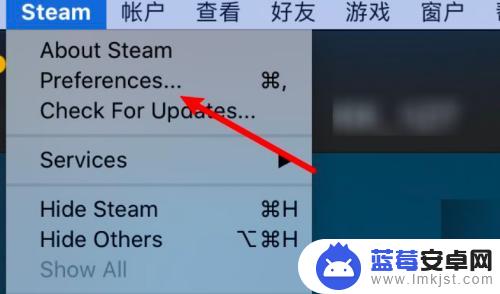 steam游戏图列表大图设置 Steam库界面显示大图标设置方法