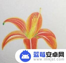 幼儿怎么涂色 幼儿涂色技巧步骤图简易教学