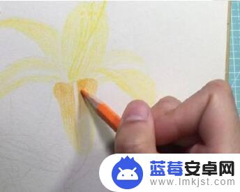 幼儿怎么涂色 幼儿涂色技巧步骤图简易教学