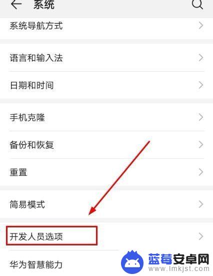 怎么把手机弄黑屏 手机黑白屏设置方法