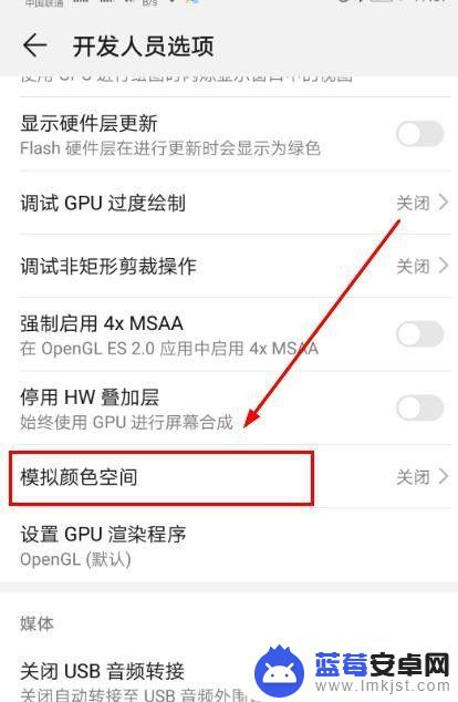 怎么把手机弄黑屏 手机黑白屏设置方法