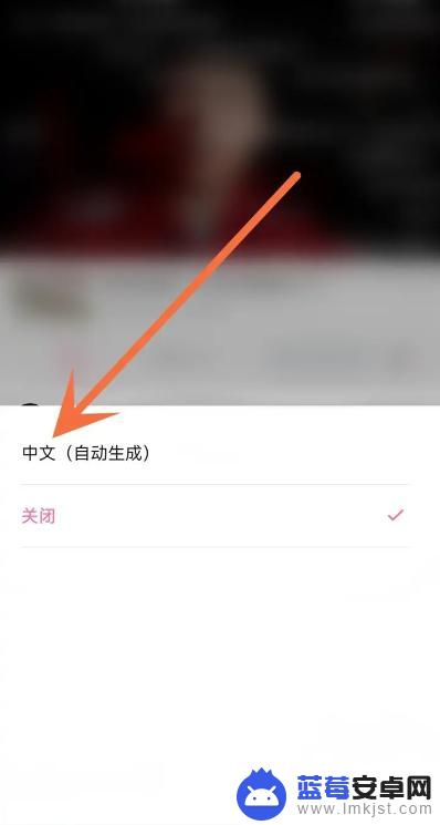 b站手机怎么开字幕 哔哩哔哩APP中文字幕显示设置