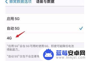 苹果手机怎么定制网络 苹果12设置4G网络指南