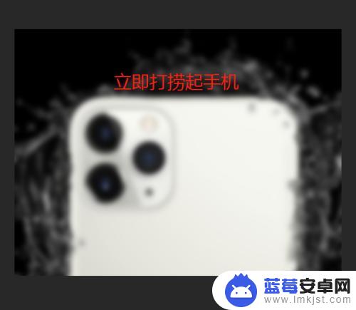 苹果手机如何水洗屏幕 iphone进水后屏幕黑屏怎么办