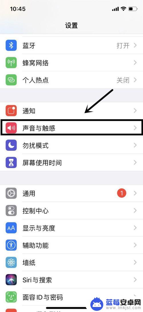 苹果手机侧面静音键怎么设置 iPhone 11侧面静音键设置方法