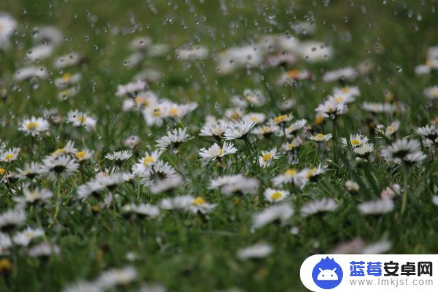 谷雨抖音文案短句(谷雨抖音文案短句怎么写)