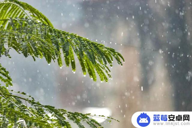 谷雨抖音文案短句(谷雨抖音文案短句怎么写)