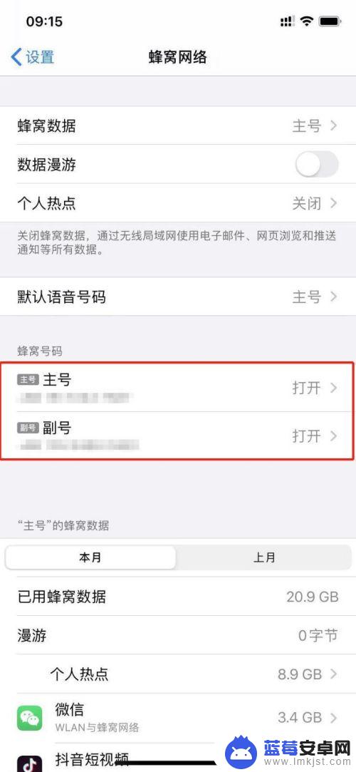 苹果手机怎么弄双卡双待 苹果手机双卡双待的设置教程