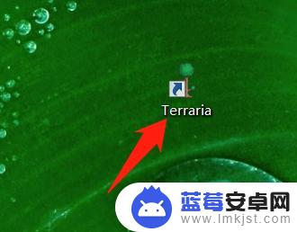 泰拉瑞亚mac为什么没有中文 泰拉瑞亚中文界面设置