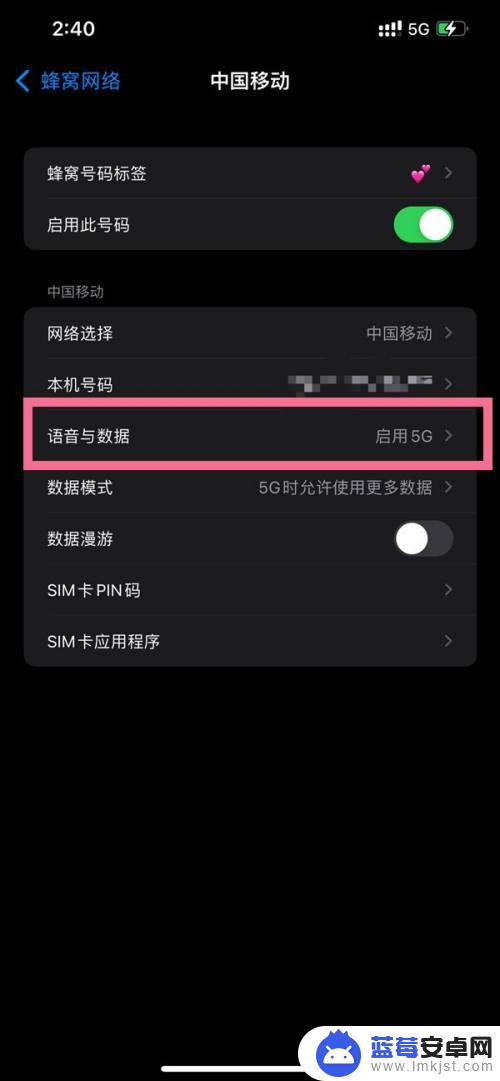 iphone135g怎么设置 iPhone13如何设置5g网络