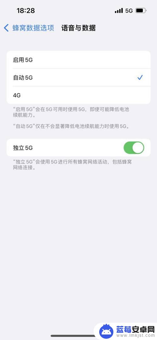 iphone135g怎么设置 iPhone13如何设置5g网络