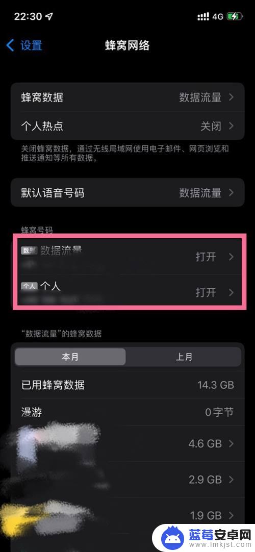 iphone135g怎么设置 iPhone13如何设置5g网络