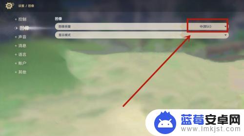 原神画质模糊怎么调 原神画质设置在哪里调整