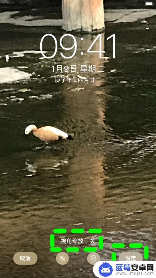 手机壁纸不能显示全图怎么办苹果 苹果壁纸显示不全怎么调整