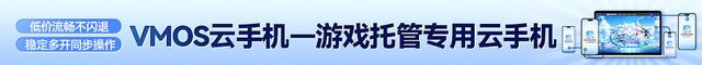 鸢辅助攻略全攻略：最佳阵容搭配推荐！详解VMOS云手机操作技巧！