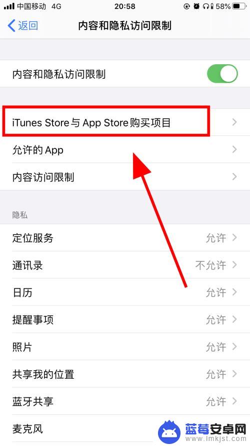 怎么设置手机不可以安装应用 怎样禁止iPhone手机安装特定应用