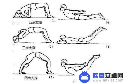 苹果手机如何练腰肌图片 腰背肌锻炼方法有哪些