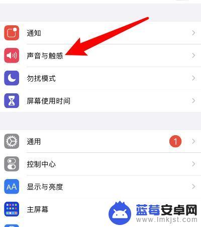 苹果手机振铃声音太小怎么办 iPhone13电话铃声小调整不了怎么解决