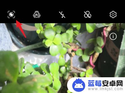 华为手机辨别植物 如何在华为手机上设置植物识别
