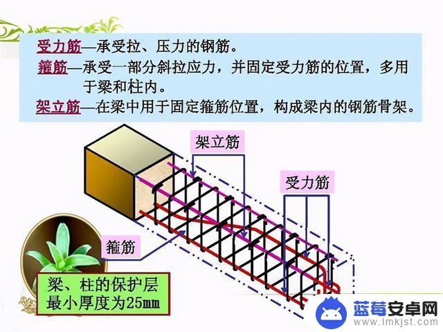 抖音钢筋图纸讲解(最新钢筋图纸讲解视频)