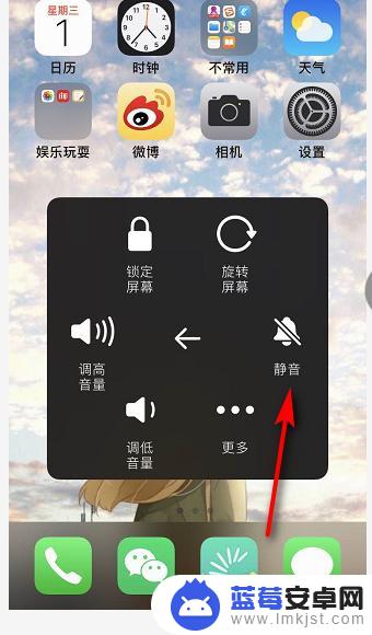 怎么打开手机拍照的声音 苹果手机怎么打开拍照声音