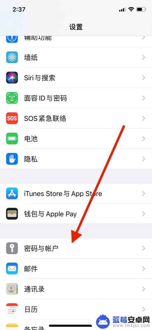 苹果手机各种账号密码保存在哪 在苹果手机中管理保存的密码和账号