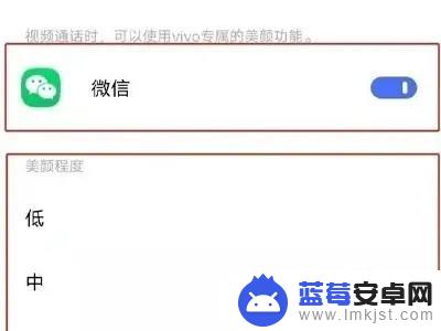 vivo手机微信怎么美颜视频聊天 vivo手机微信视频美颜设置教程