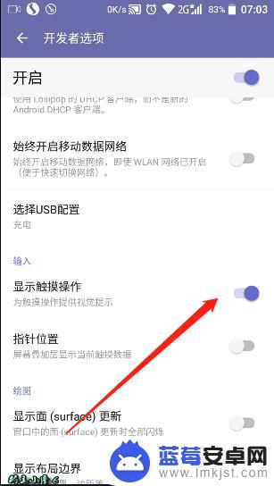 如何打开手机里面的光点 安卓手机触摸显示圆点调整方法