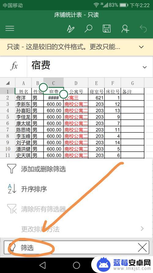 手机里面文件如何筛选 手机Excel筛选功能使用方法