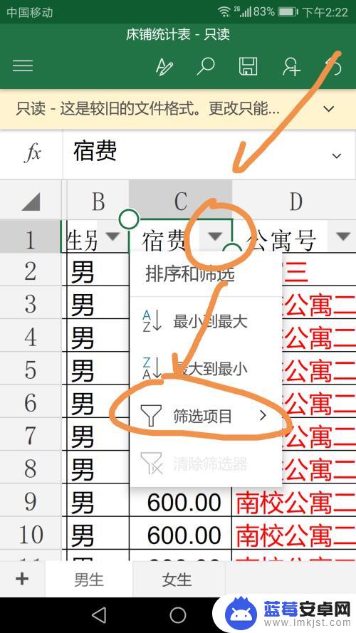 手机里面文件如何筛选 手机Excel筛选功能使用方法