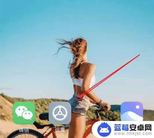 小米手机直播效果如何关闭 小米手机如何关闭MIUI11动画效果