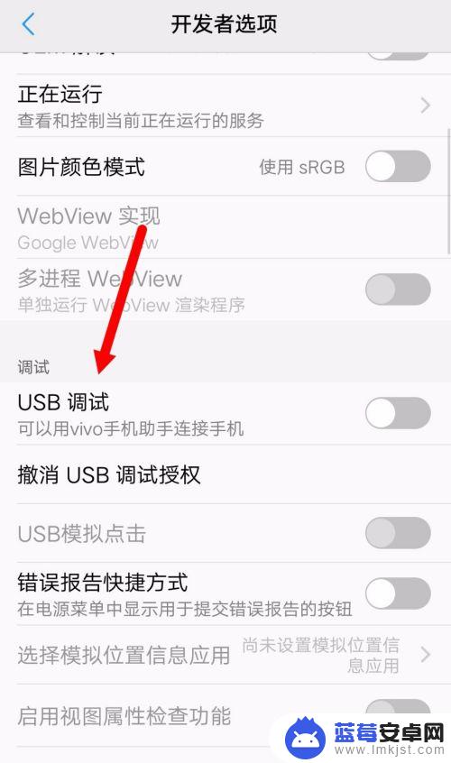 vivo手机怎么调试usb模式 vivo手机usb调试模式怎么开启