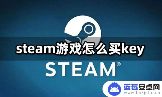 steamkey购买平台 如何购买Steam游戏CDK