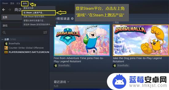 steamkey购买平台 如何购买Steam游戏CDK