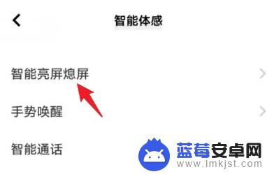 vivo手机点两下屏幕就亮怎么设置 VIVO手机双击屏幕点亮功能怎么开启