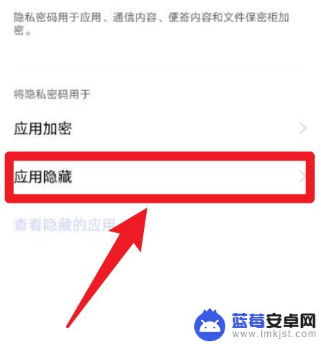 vivo隐藏桌面图标功能在哪 vivo手机隐藏图标在哪里设置