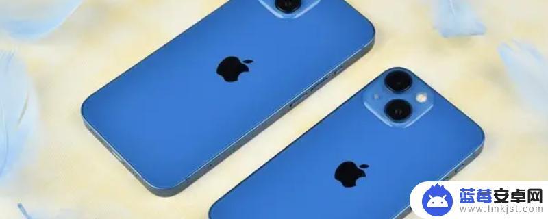 苹果13手机有多重 iPhone 13重量多少克