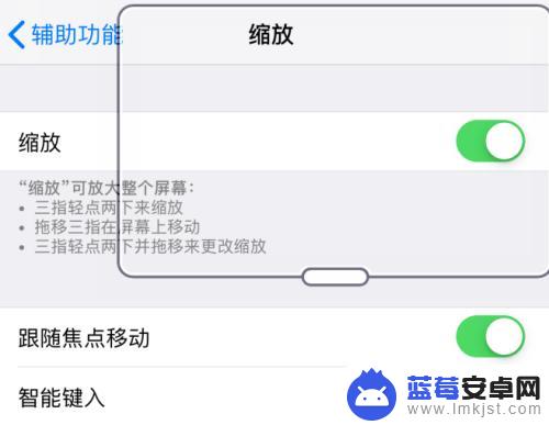 苹果手机的缩放功能在哪里打开 怎样在苹果iPhone手机上关闭缩放功能