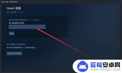 怎么更改steam的密码 steam修改密码步骤