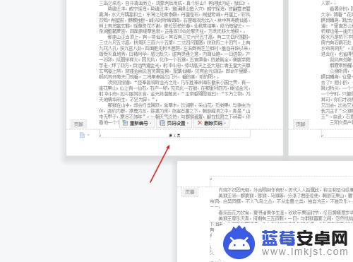 手机页码显示数字怎么设置 设置了页码但无法正常显示