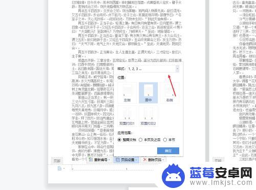 手机页码显示数字怎么设置 设置了页码但无法正常显示